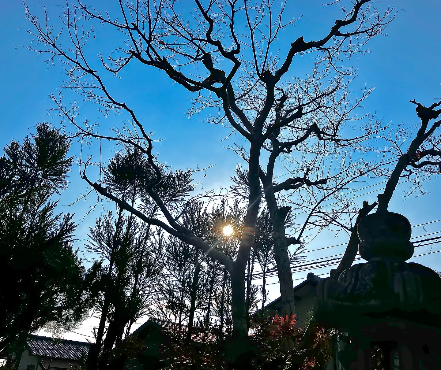 実は、ハシゴ🪜から落ちて、療養中です❤️‍🩹