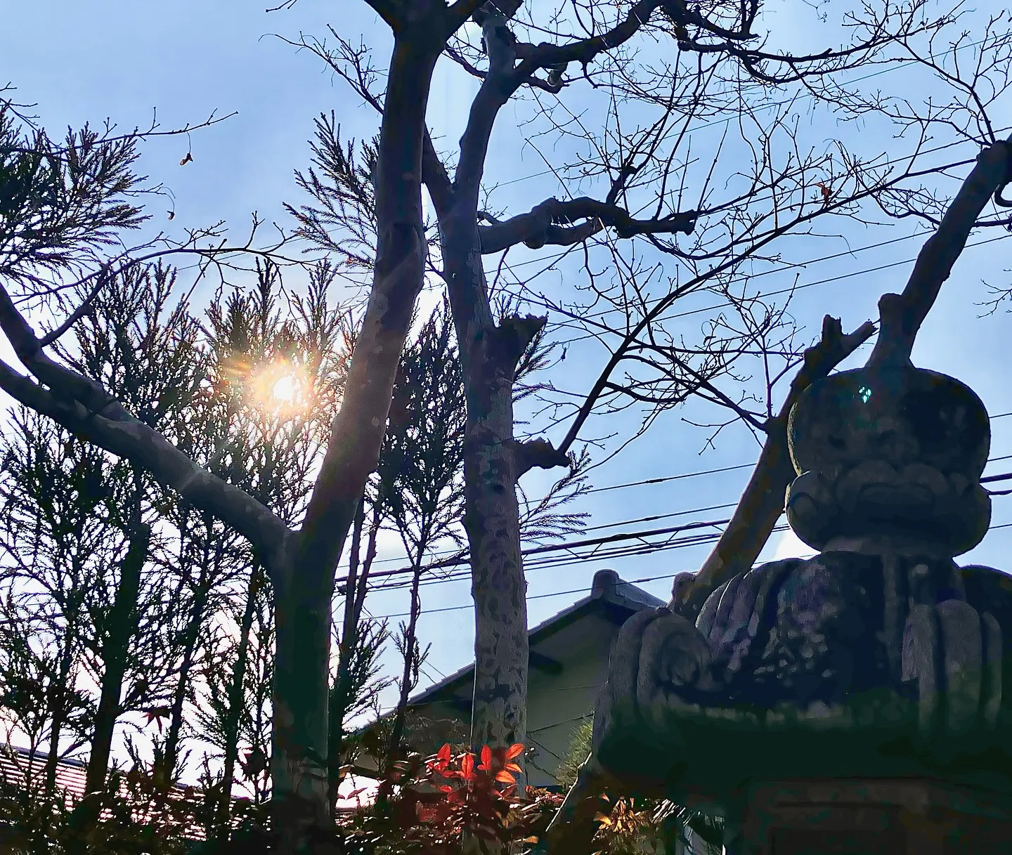 実は、ハシゴ🪜から落ちて、療養中です❤️‍🩹