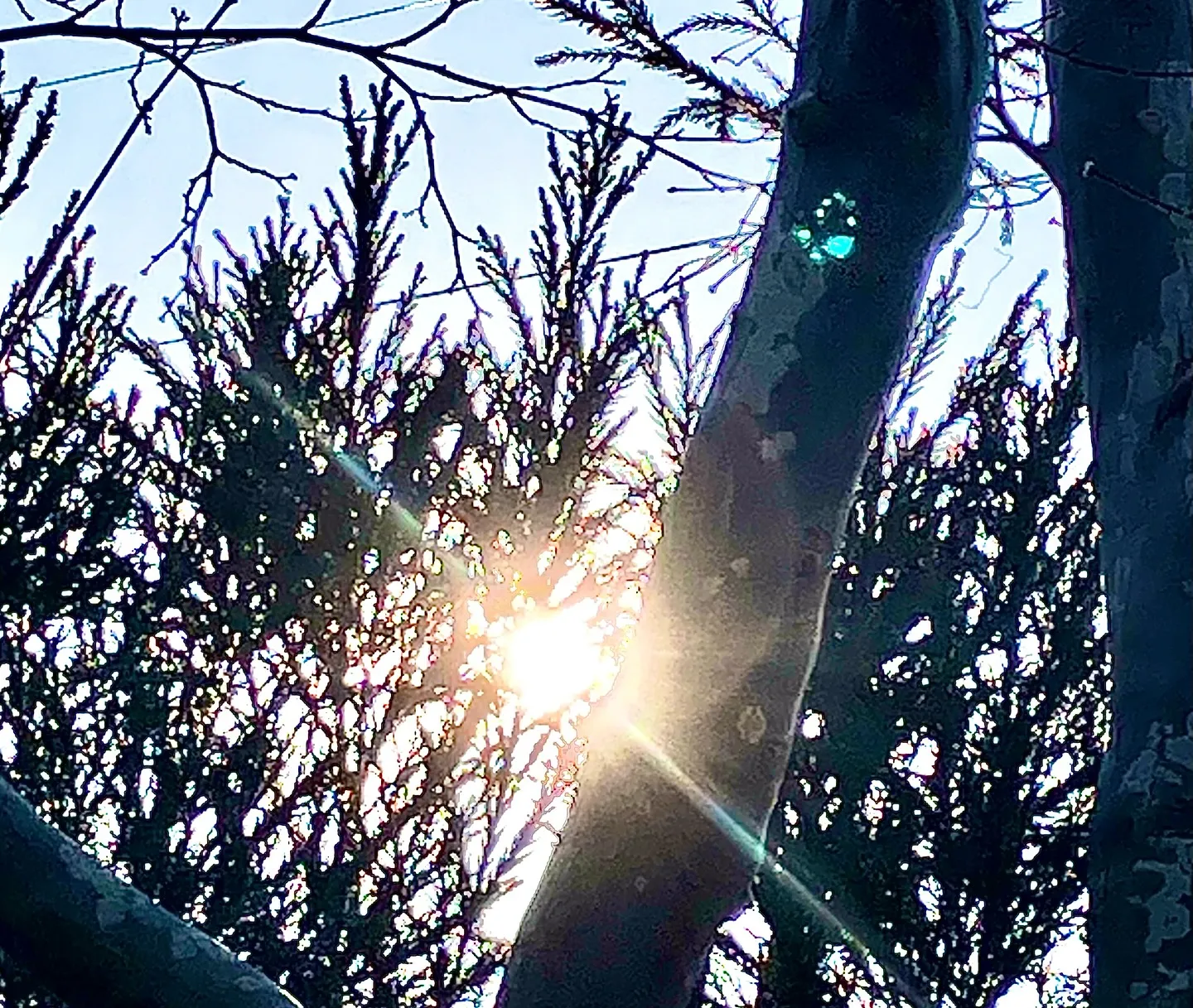 実は、ハシゴ🪜から落ちて、療養中です❤️‍🩹