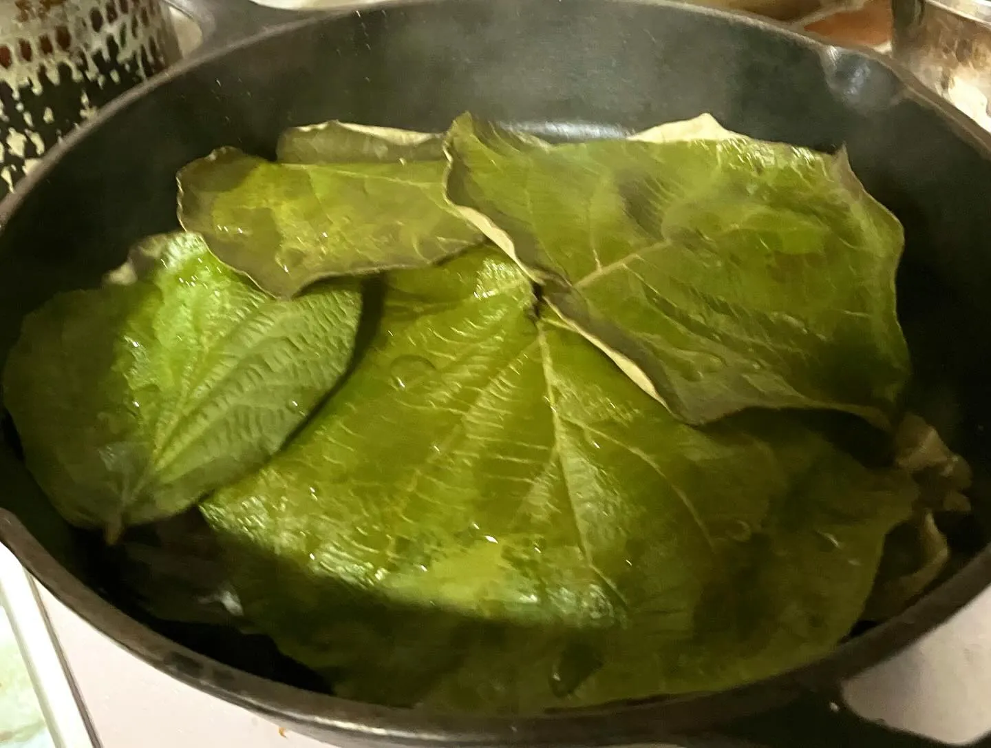 キウィフルーツ🥝の葉と軸のスペシャル料理‼️