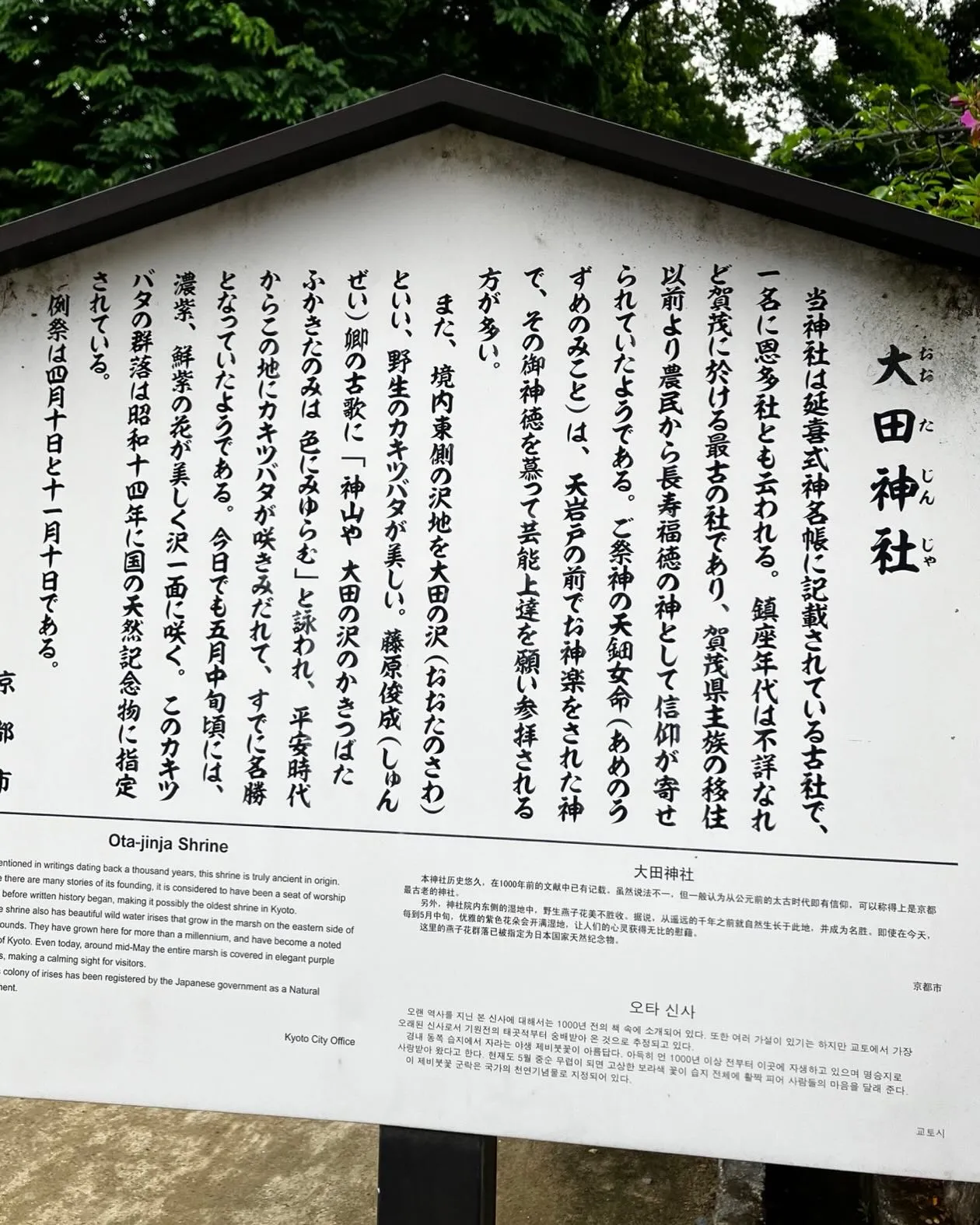 大田神社のカキツバタの沢