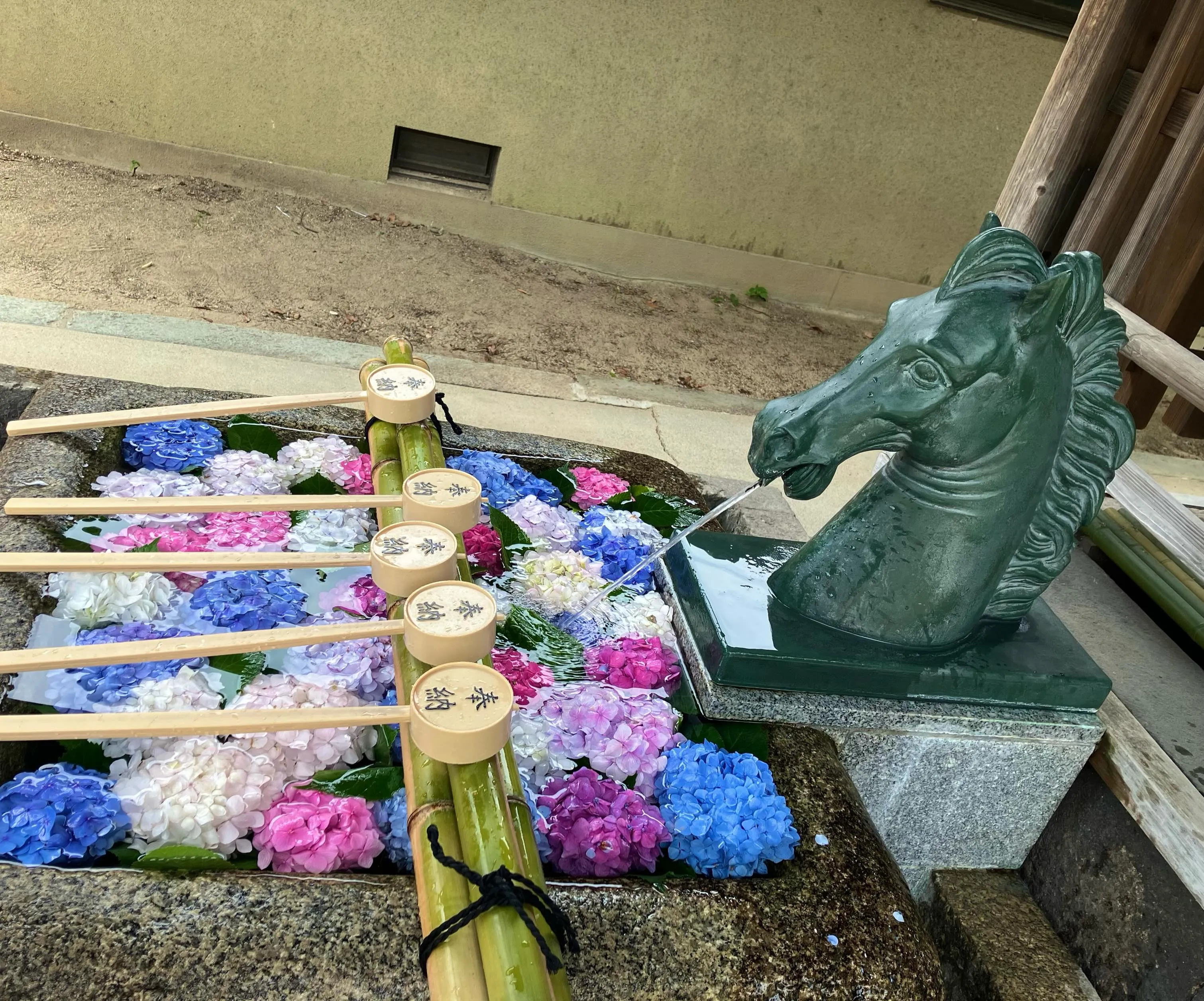 藤森神社のあじさい苑